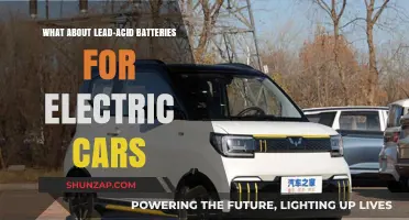 Lead-Acid Batteries in Electric Cars: Pros, Cons, and Future Potential