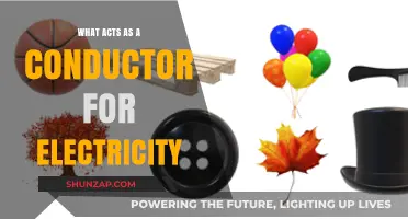 Conductors of Electricity: What Materials Allow Current Flow?