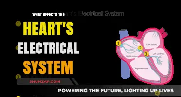 Heart's Electrical System: Factors and Influences