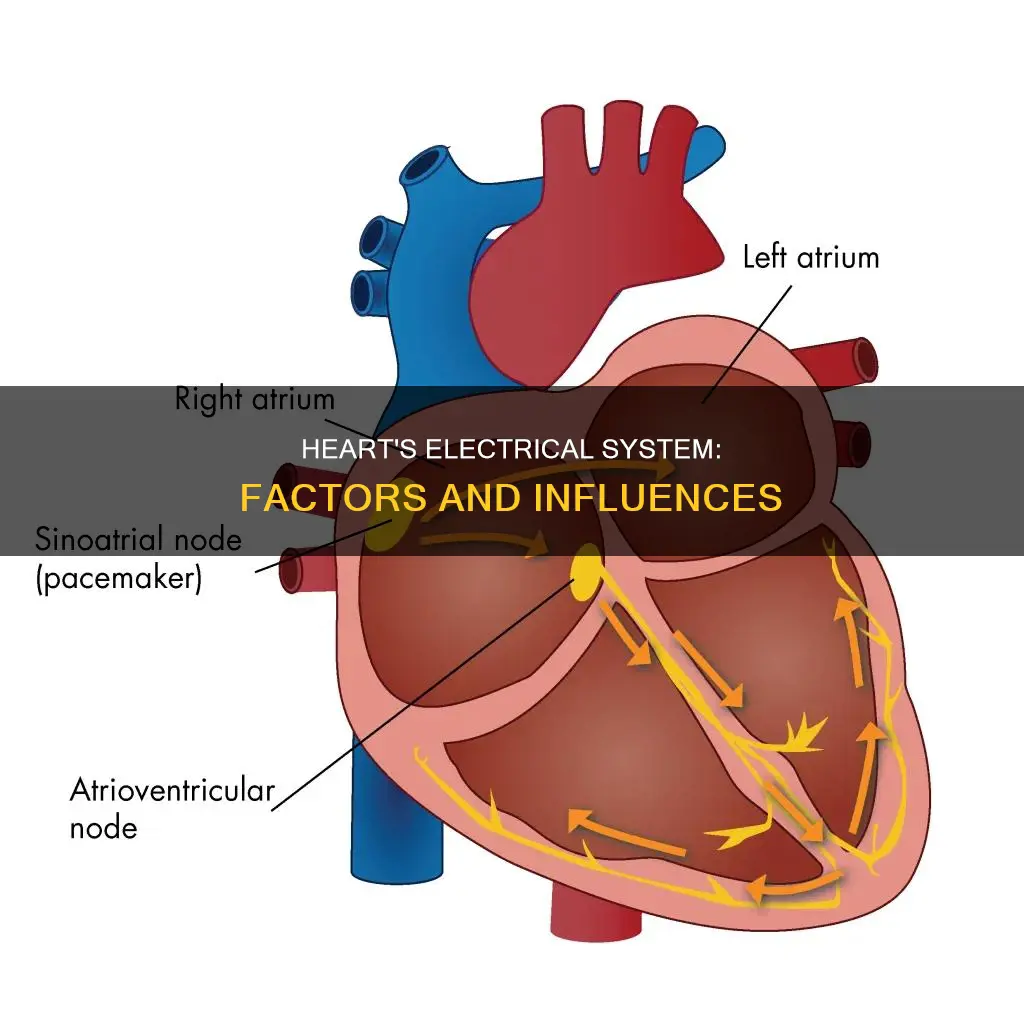 what affects the heart