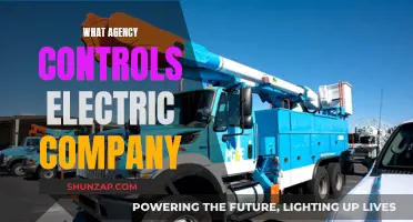 Who Regulates the Electric Company? Understanding Agency Control