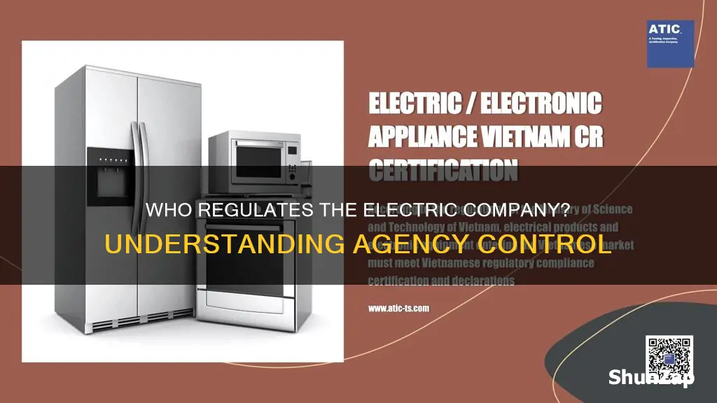 what agency controls electric company