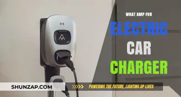 Choosing the Right Amp for Your Electric Car Charger: A Guide