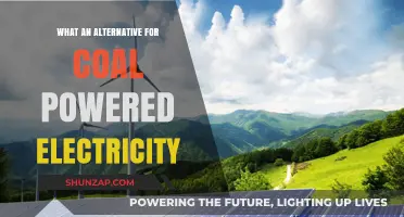 Green Energy Alternatives to Coal-Powered Electricity