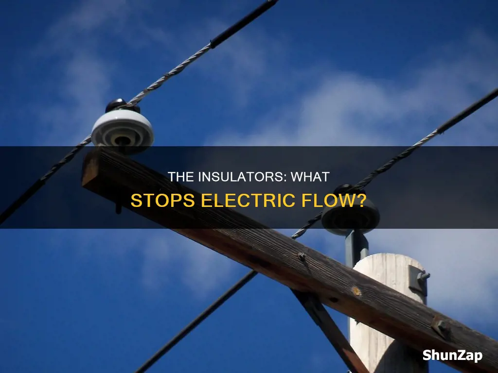 what an electric does not flow through