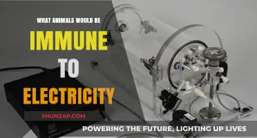 Electric Shock-Proof Animals: Who's Immune and Why?