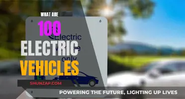 The Future of Green: 100 Electric Vehicles and Their Impact