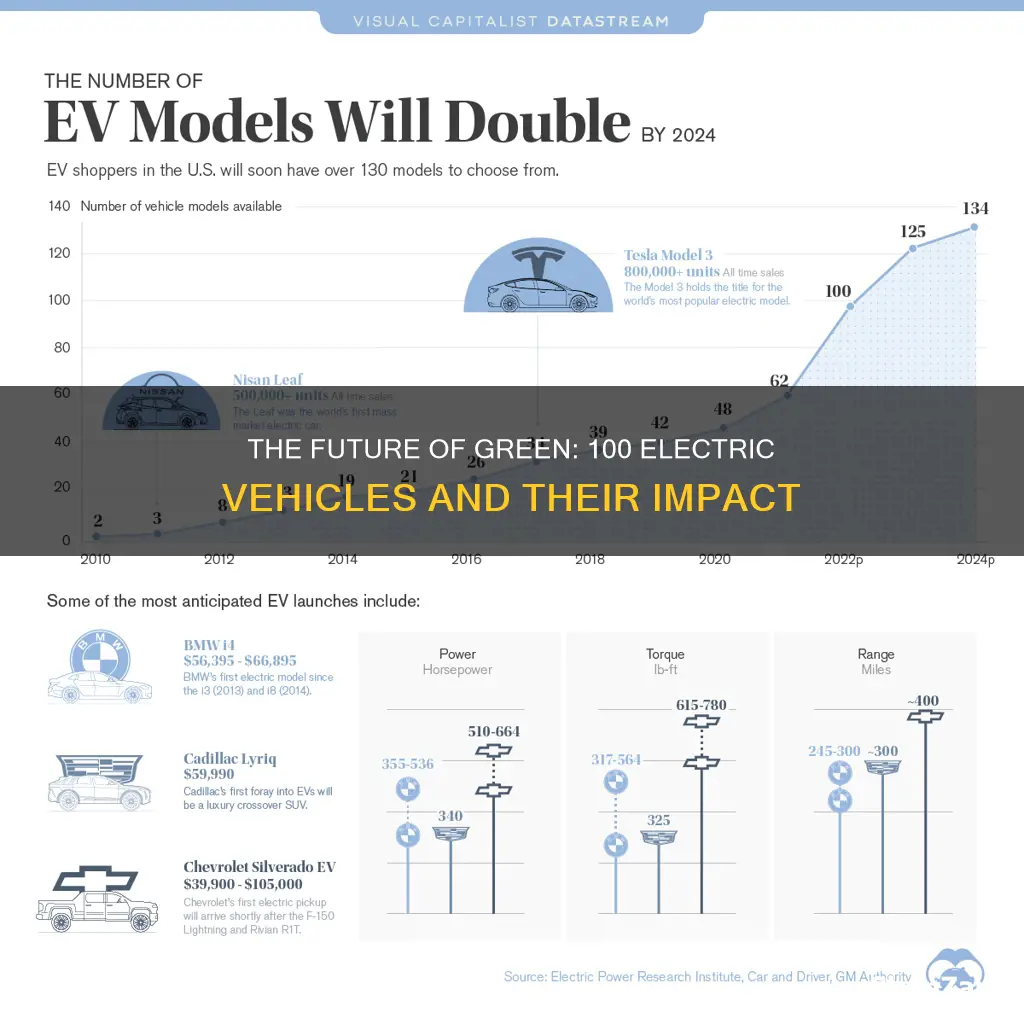 what are 100 electric vehicles