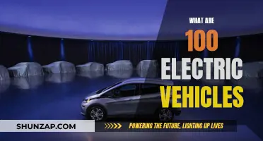 The Future of Electric Vehicles: 100 Models Revolutionizing Transportation
