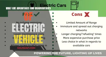 Electric Vehicles: Powering the Future, But at What Cost?