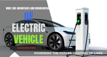 Electric Vehicles: Pros, Cons, and the Future
