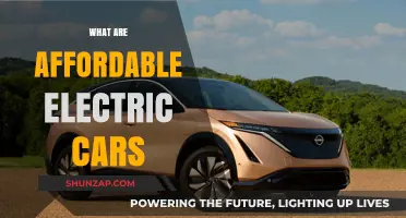 Affordable Electric Cars: Eco-Friendly Options for Every Budget