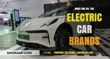 Exploring the Growing List of Electric Car Brands Worldwide