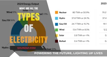 Electricity Types: Exploring the Power of Various Electrical Forms