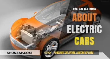 Electric Cars: Uncovering the Downsides and Hidden Challenges