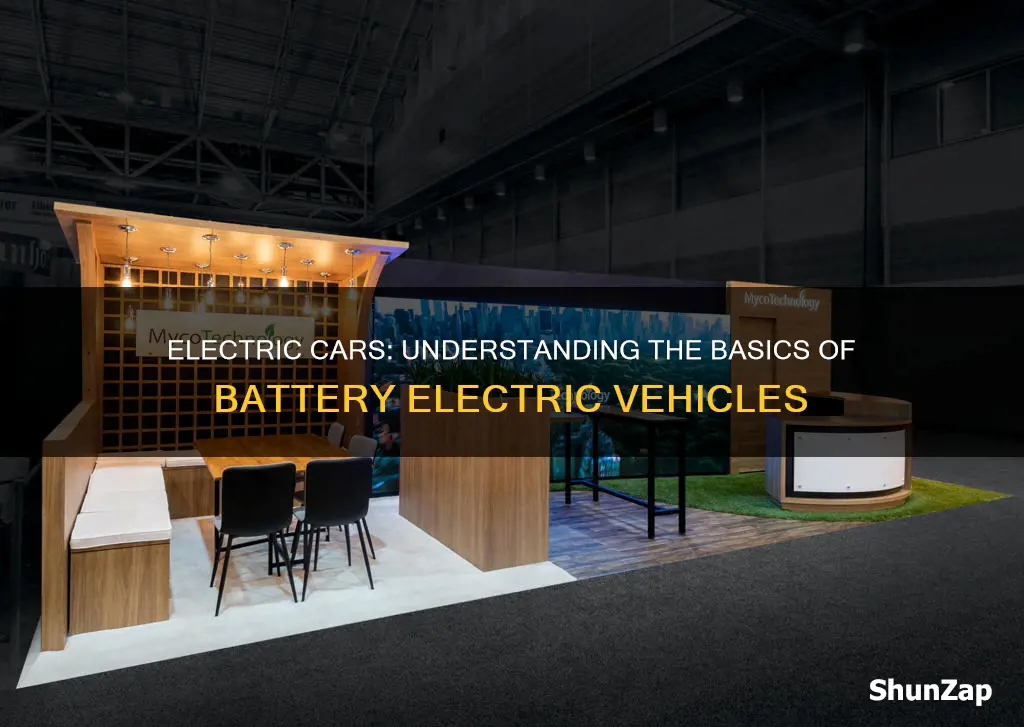 what are battery electric vehicles