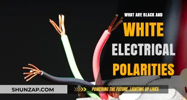 Understanding Electrical Polarity: Black and White Basics