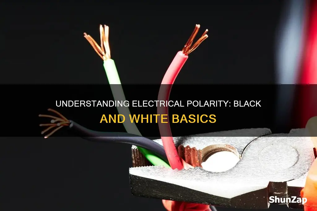 what are black and white electrical polarities
