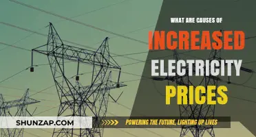 Electricity Prices Surge: Exploring the Root Causes