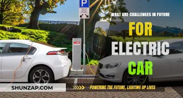 Future Challenges for Electric Cars: Infrastructure, Range, and Sustainability