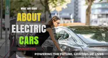 Electric Cars: Uncovering the Hidden Downsides and Practical Challenges
