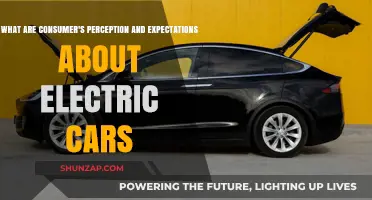 Electric Cars: Consumer Perceptions, Expectations, and Future Demand Insights