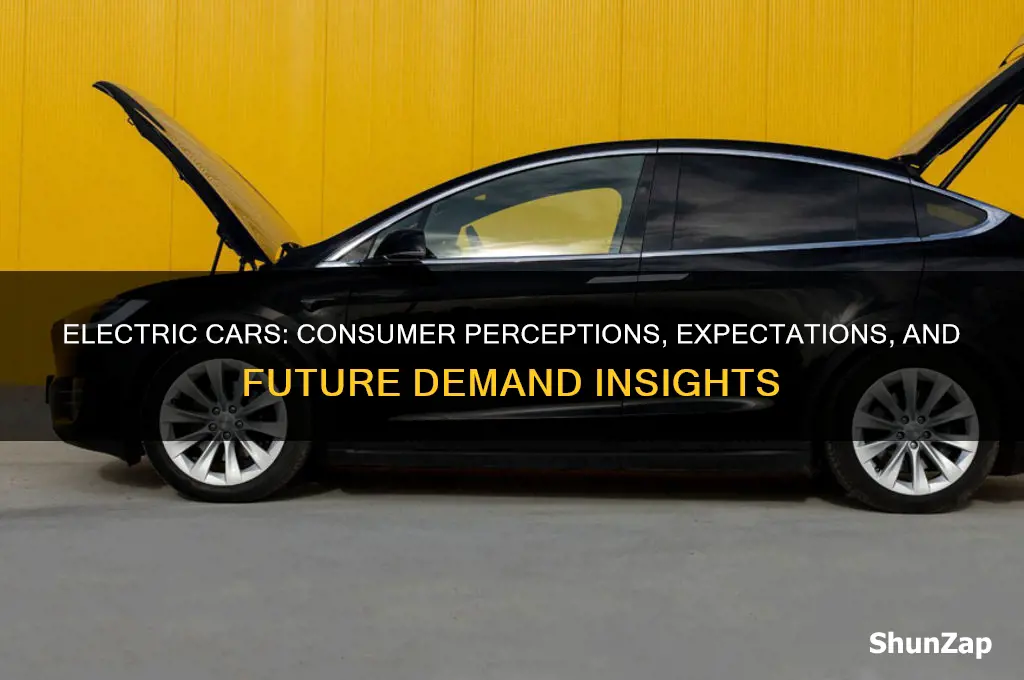 what are consumer