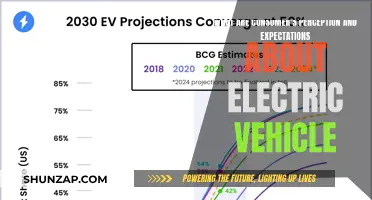 EV Revolution: Shaping Consumer Perceptions and Expectations in the Electric Age