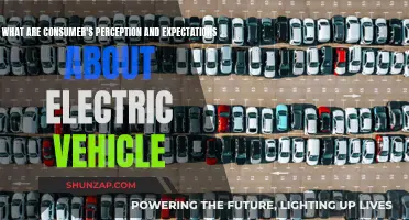 Consumer Insights: Electric Vehicle Perceptions and Expectations