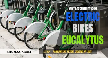 Trendy Electric Bikes: The Eucalyptus Effect