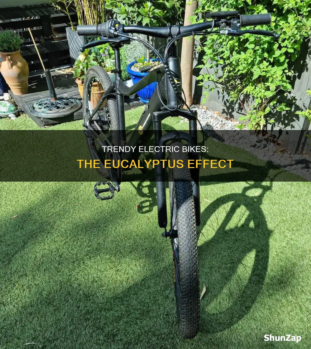 what are current trends electric bikes eucalytus