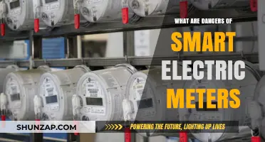 Smart Electric Meters: Privacy and Health Risks?