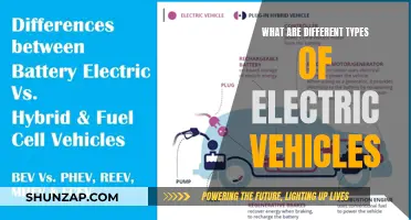 Exploring the Electric Spectrum: Types of EVs