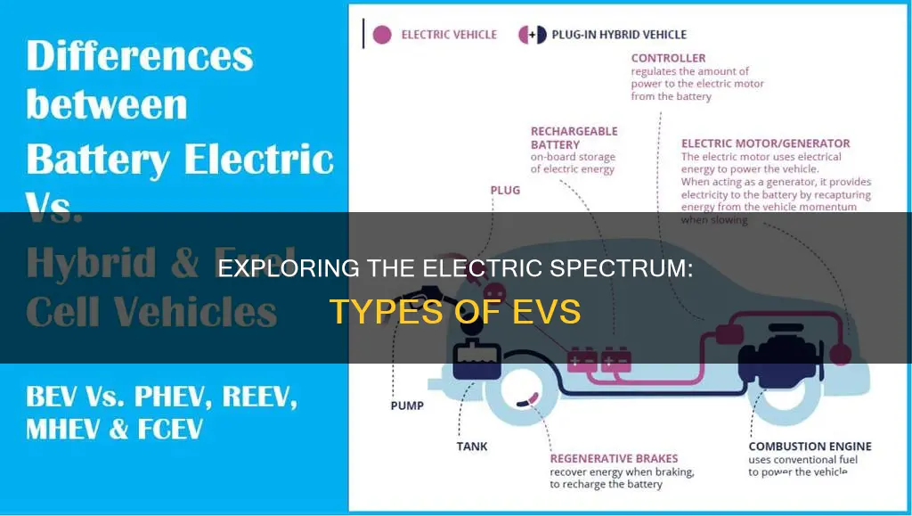 what are different types of electric vehicles