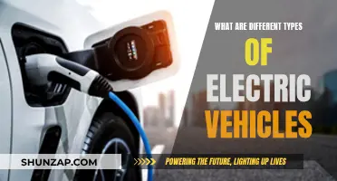 Electric Vehicles: Exploring the Diverse Options Available Today