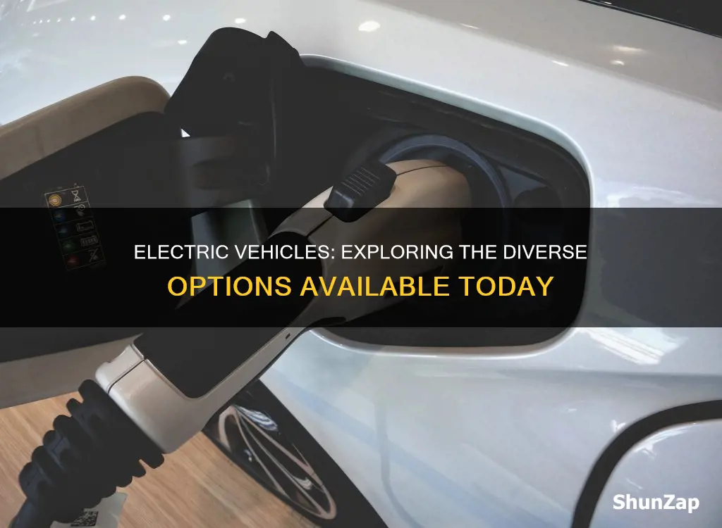 what are different types of electric vehicles
