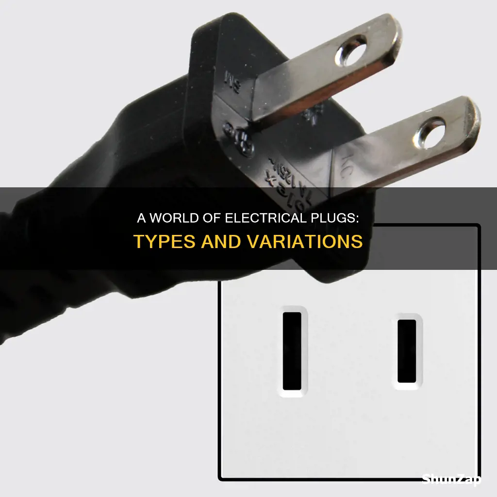 what are different types of electrical plugs