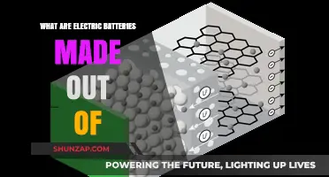 The Intriguing Components of Electric Batteries