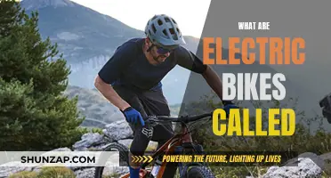 Electric Bikes: Understanding Their Unique Names and Features