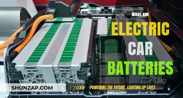 Understanding Electric Car Batteries: Types, Functionality, and Sustainability