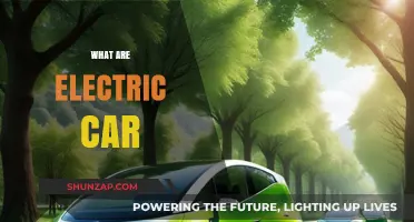 Exploring Electric Cars: Eco-Friendly, Efficient, and Future of Transportation