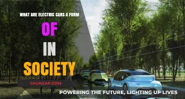 Electric Cars: Society's Sustainable Shift in Transportation Evolution