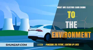 Electric Cars: Environmental Impact, Sustainability, and Green Transportation Revolution