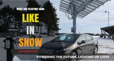 Electric Cars in Snow: Performance, Safety, and Winter Driving Tips
