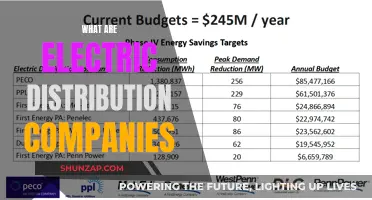 Electric Distribution Companies: Powering Homes and Businesses