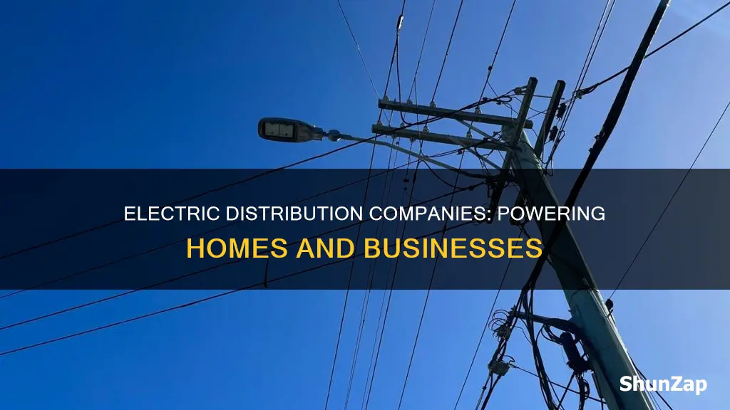 what are electric distribution companies