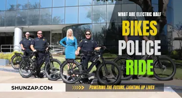 Electric Half-Bikes: How Police Patrol with Power