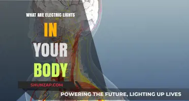 Electric Body Lights: The Science of Bioelectricity