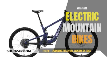 Electric Mountain Bikes: The Ultimate Guide to E-MTBs