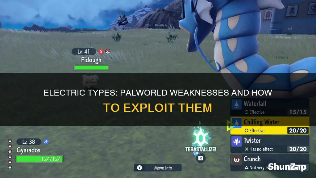 what are electric types weak to palworld